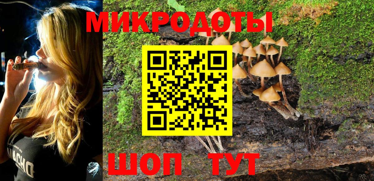Галлюциногенные грибы Cubensis Обнинск